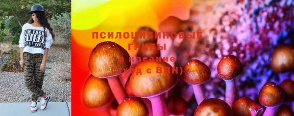 дмт Абаза
