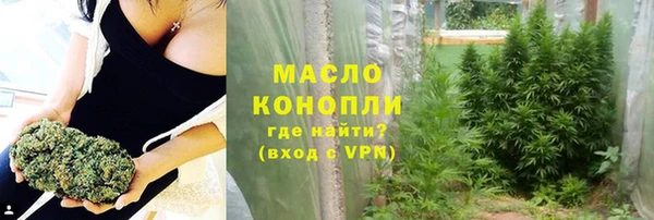 дмт Абаза