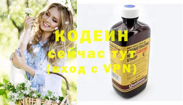 дмт Абаза