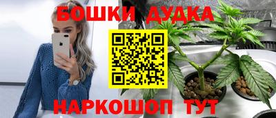 мдпв Рыбинск