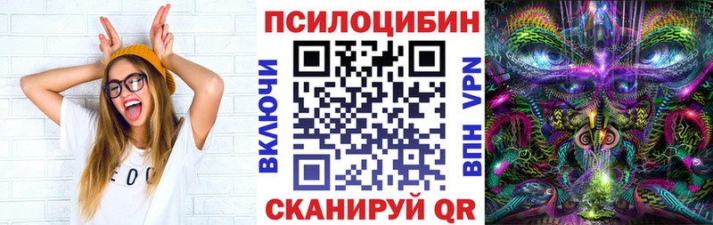 хочу   Усть-Илимск  blacksprut tor  Псилоцибиновые грибы Psilocybe 