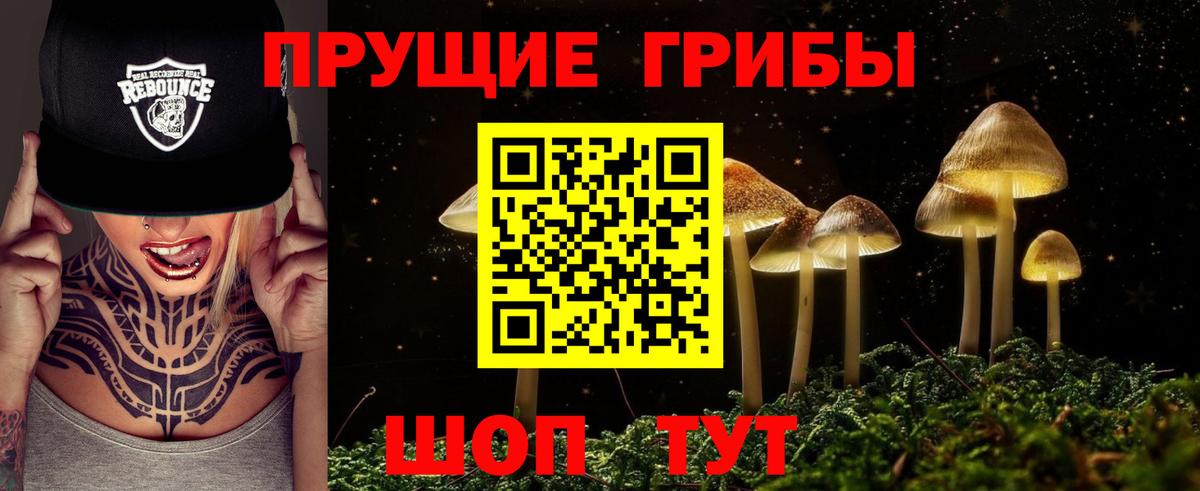 Усть-Илимск  Псилоцибиновые грибы прущие грибы  Вход с VPN  Галлюциногенные грибы Cubensis 