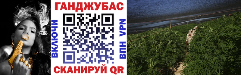 Бошки марихуана Amnesia  Усть-Илимск 